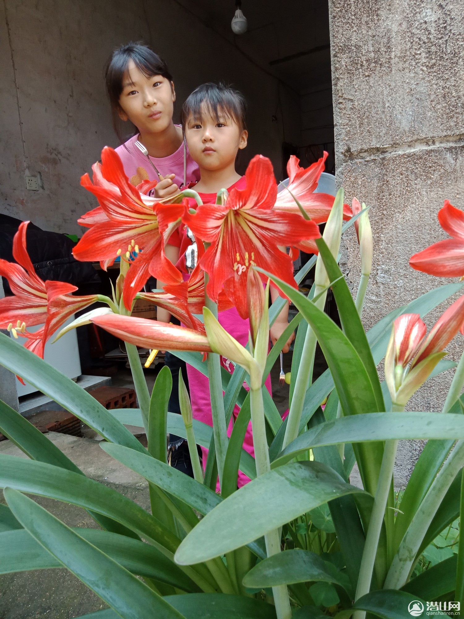 IMG20200509093750.jpg