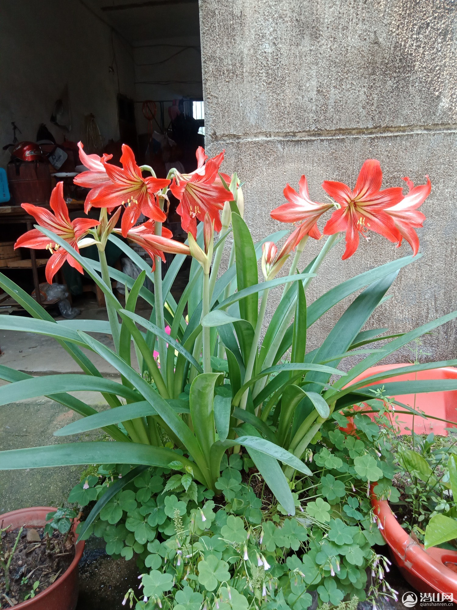 IMG20200509093833.jpg