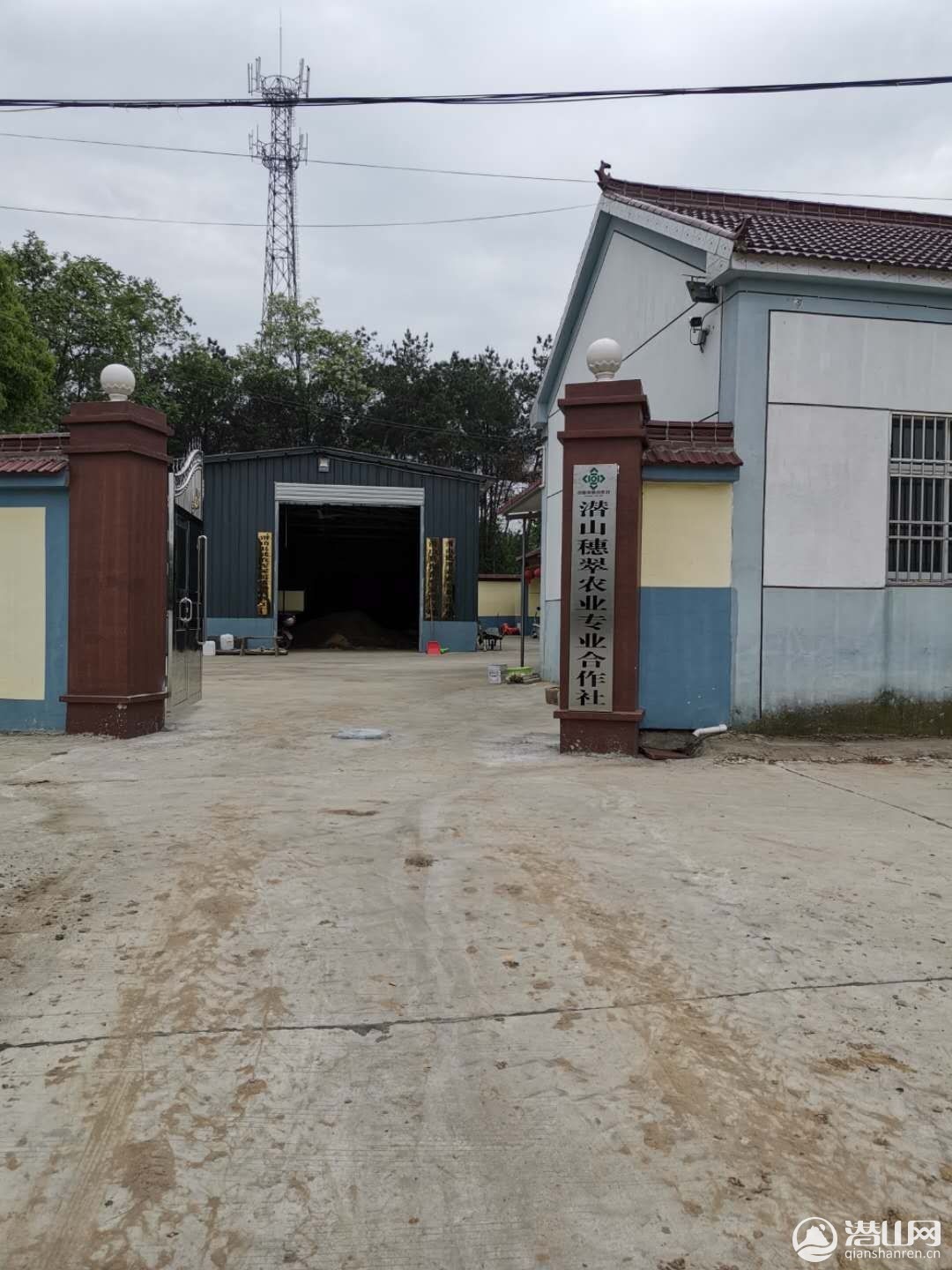mmexport1592303750335.jpg