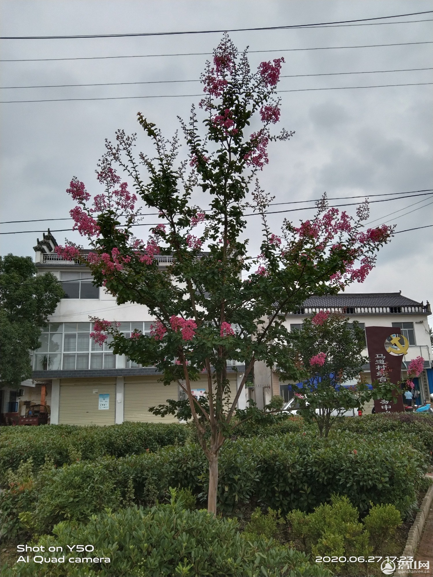 IMG_20200627_172405.jpg