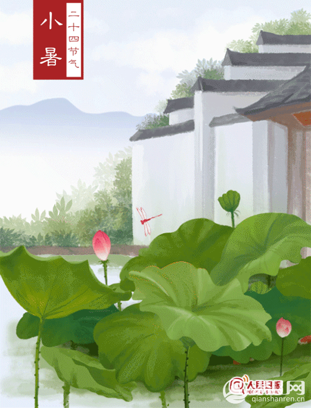 mmexport1593994237146.gif