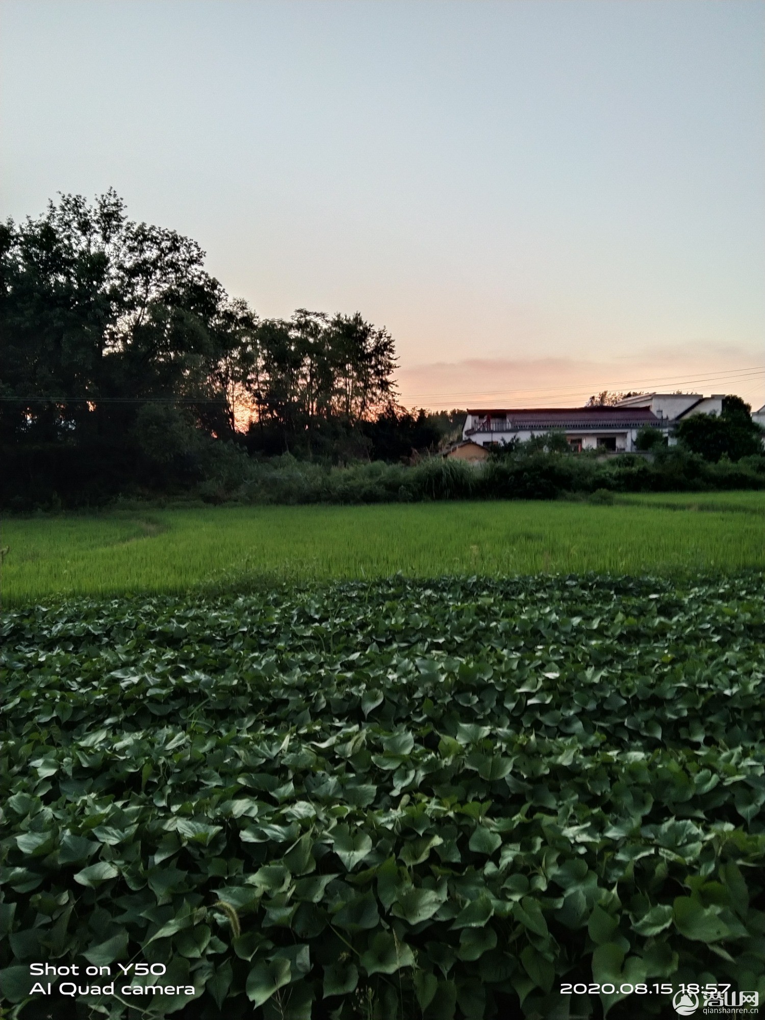 IMG_20200815_185735.jpg