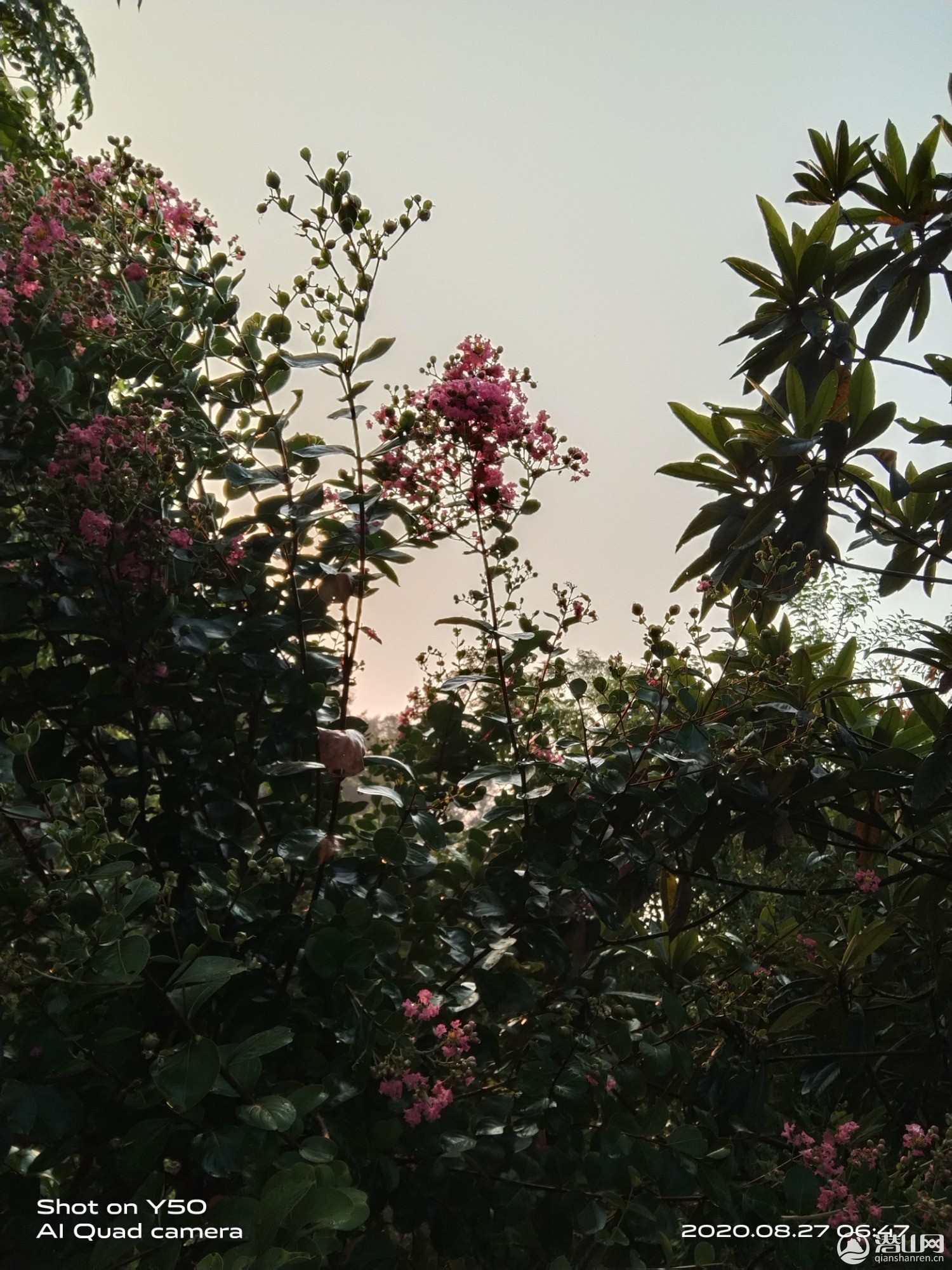 IMG_20200827_064743.jpg
