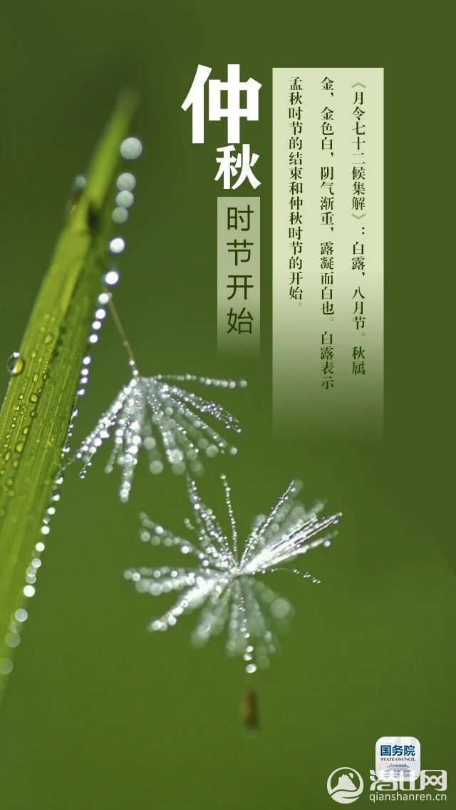 mmexport1599436303806.jpg