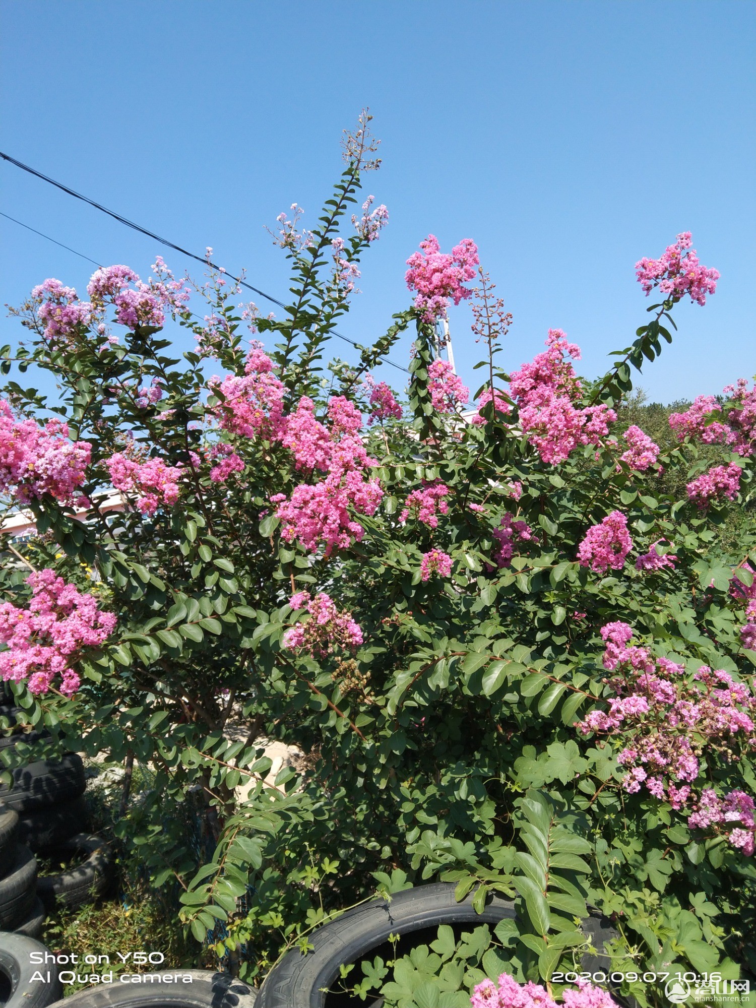 IMG_20200907_101611.jpg