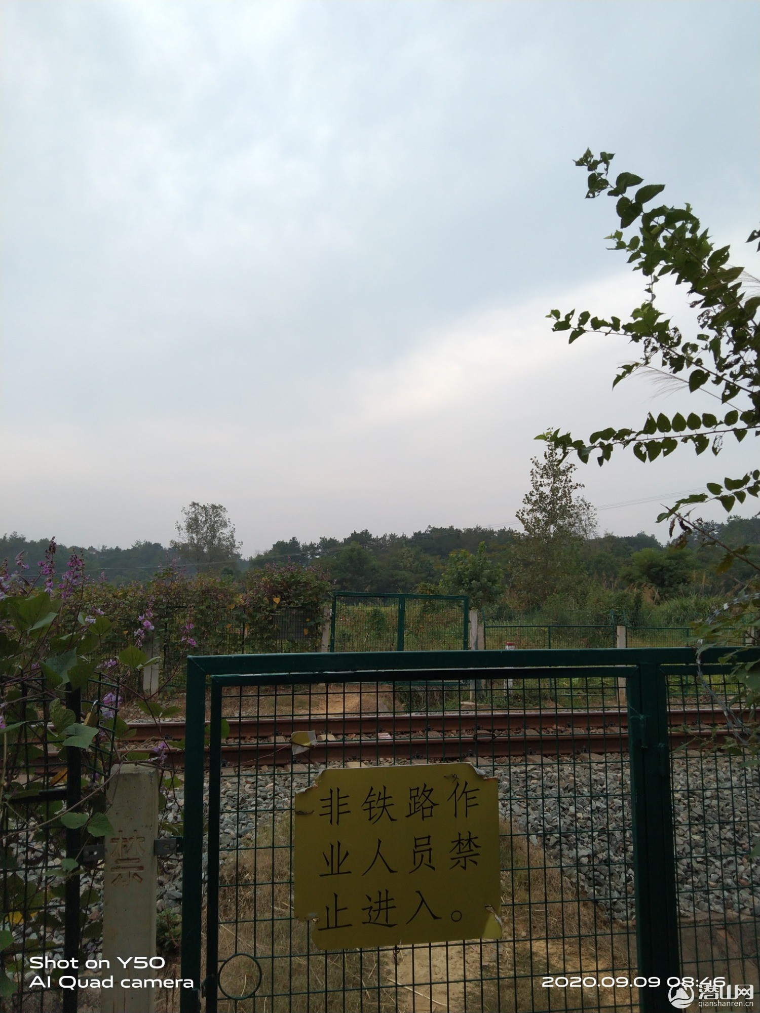 IMG_20200909_084625.jpg