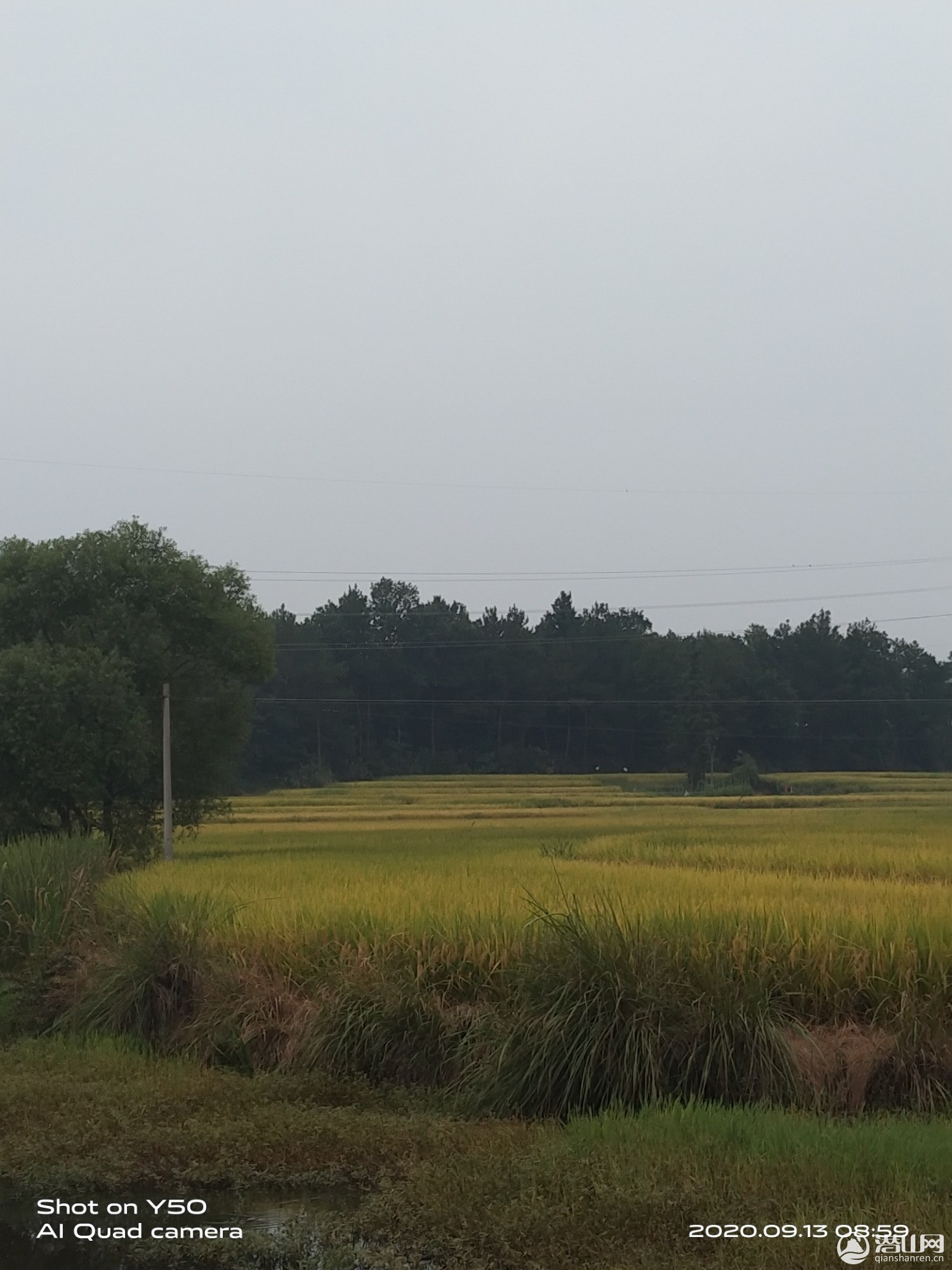 IMG_20200913_085951.jpg