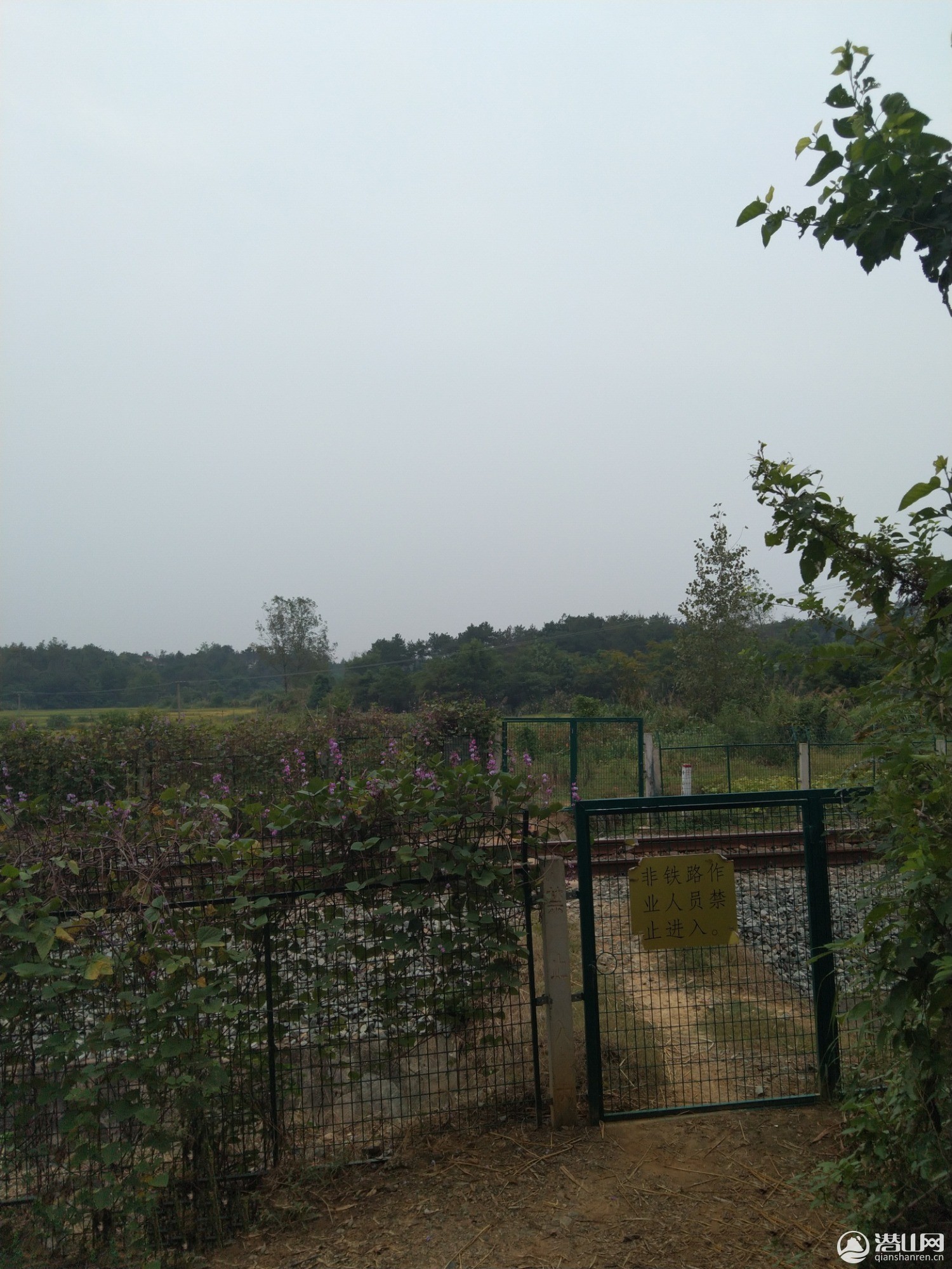 IMG_20200925_191532.jpg