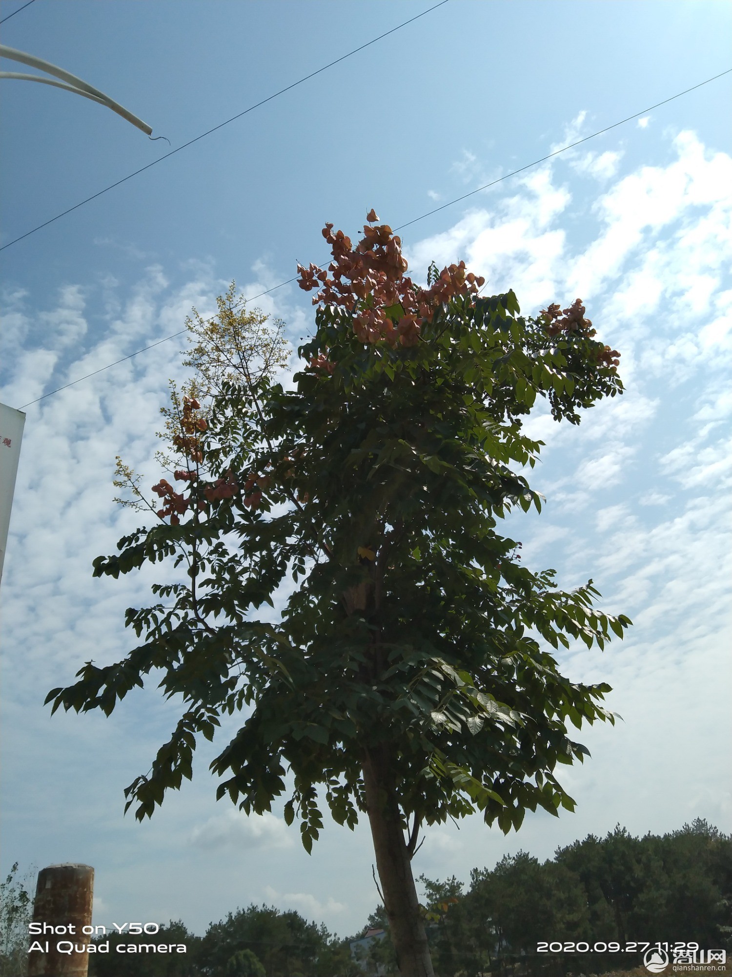IMG_20200927_112944.jpg