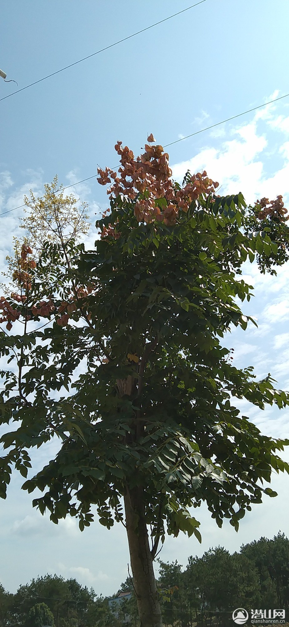 20200927112956.jpg