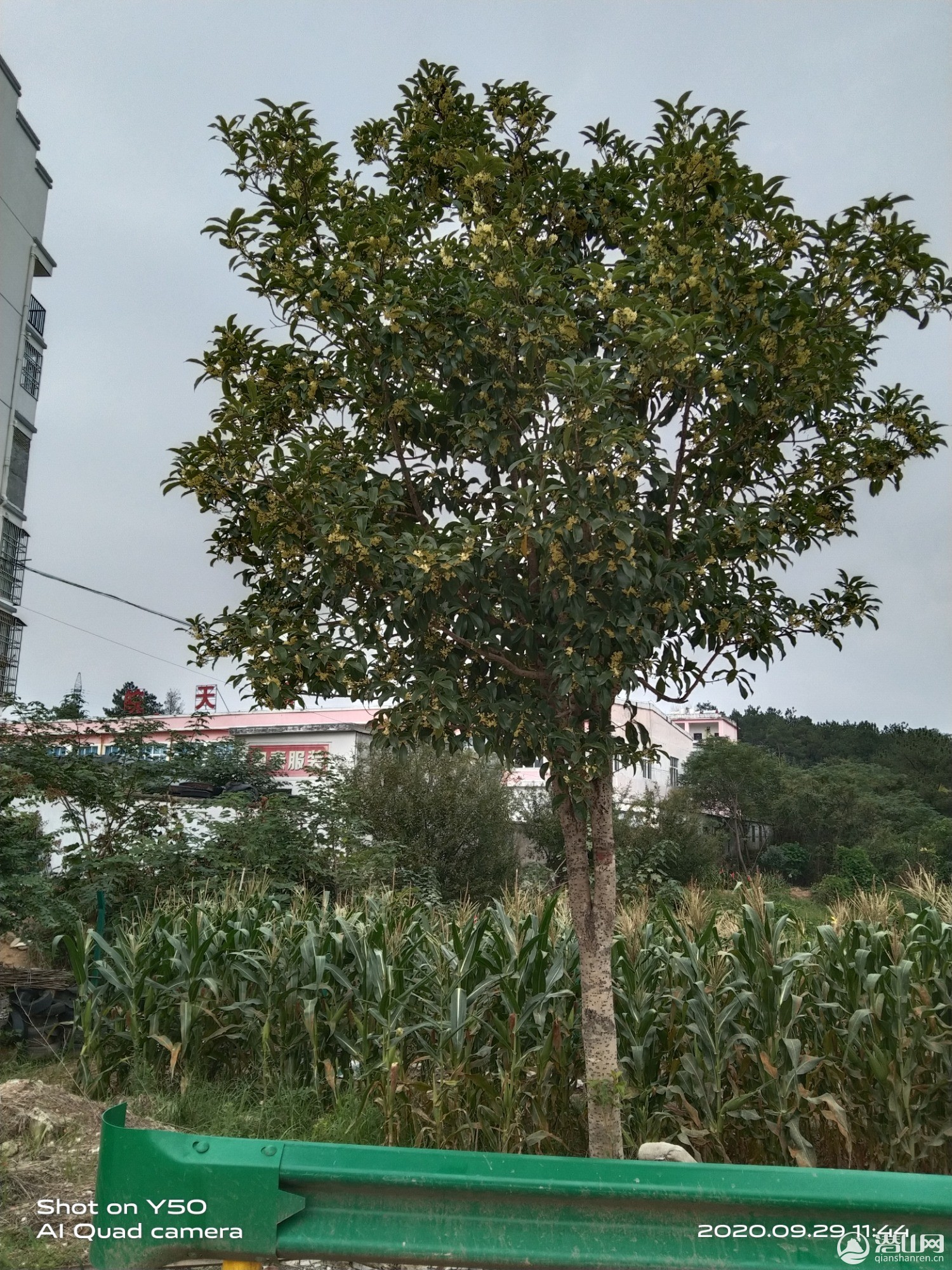 IMG_20200929_114410.jpg