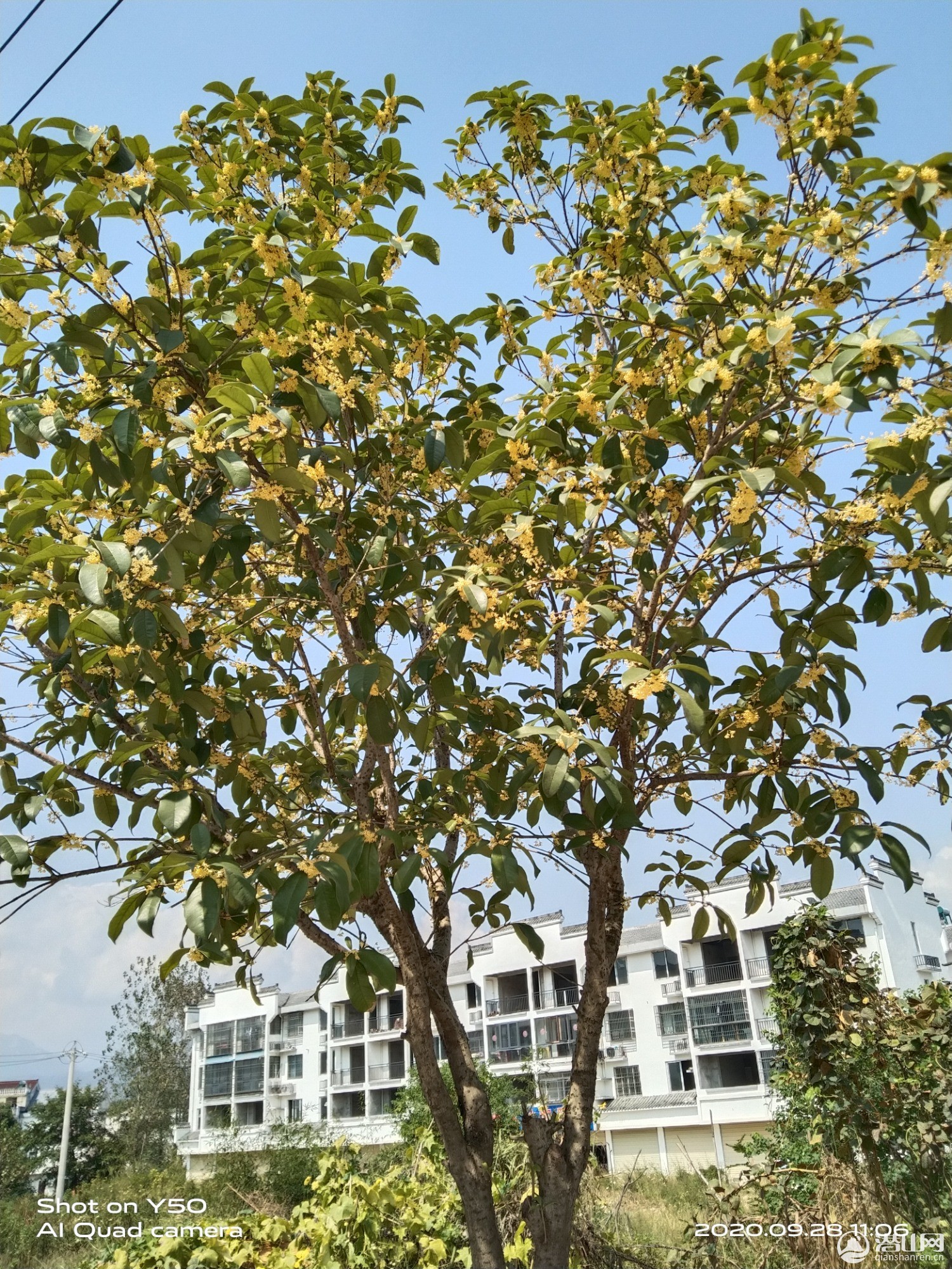 IMG_20200928_110704.jpg