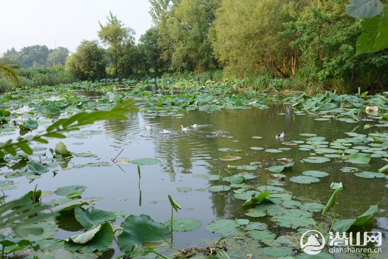 1603874960779951 (1).jpg