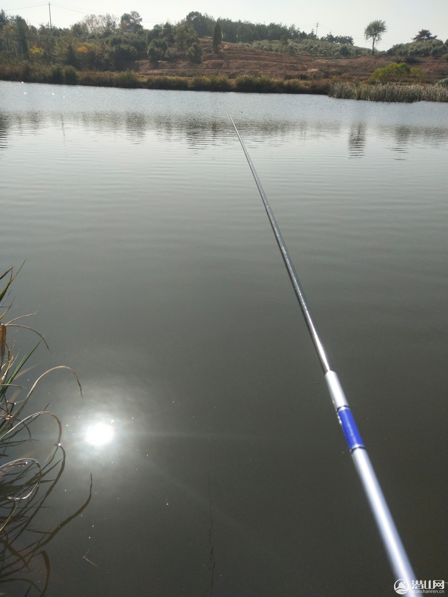 IMG_20201110_123455.jpg