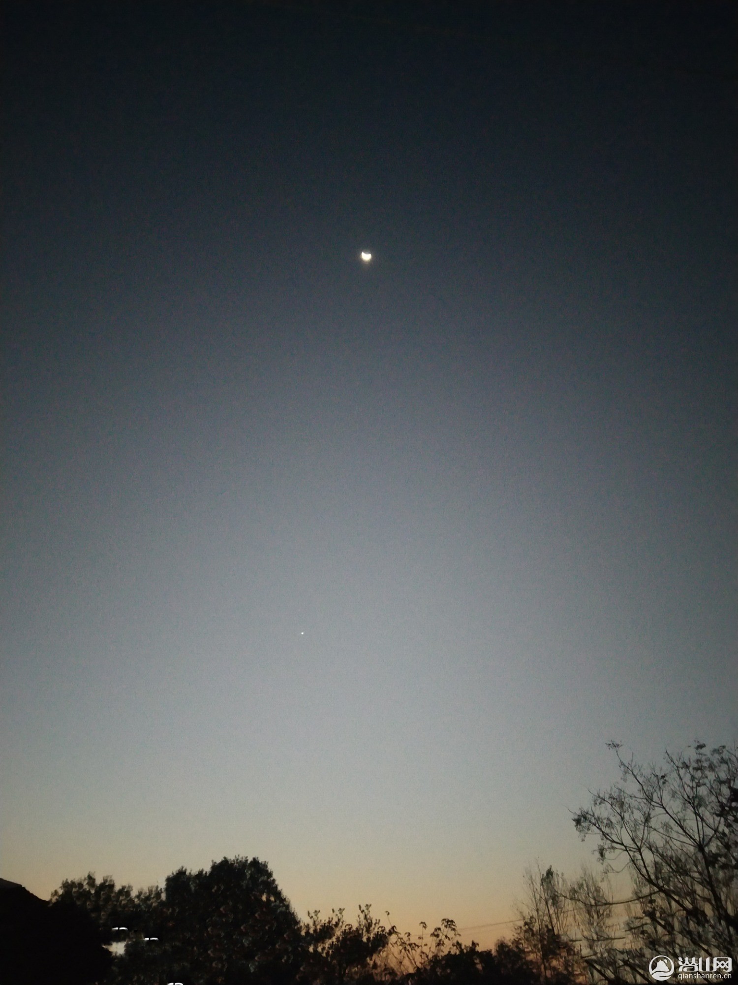 IMG_20201116_082449.jpg