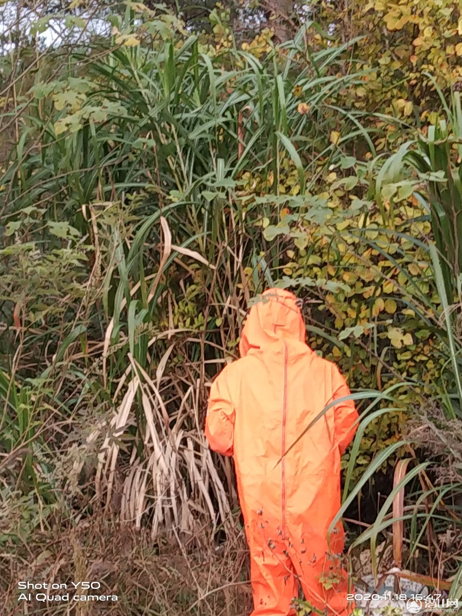IMG_20201118_154729.jpg