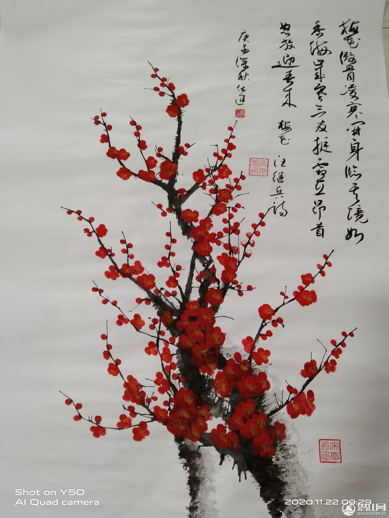 IMG_20201122_092918.jpg