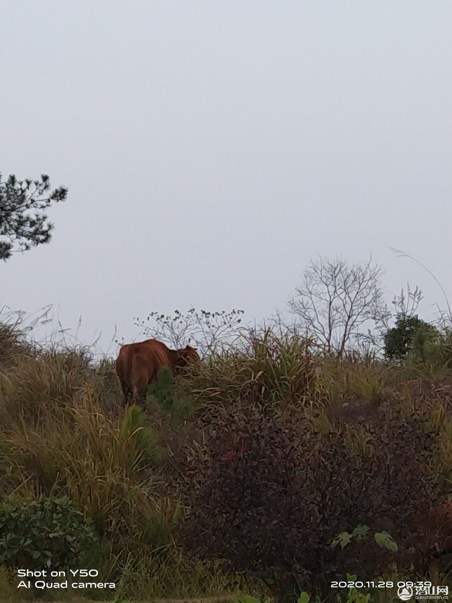 IMG_20201128_093932.jpg