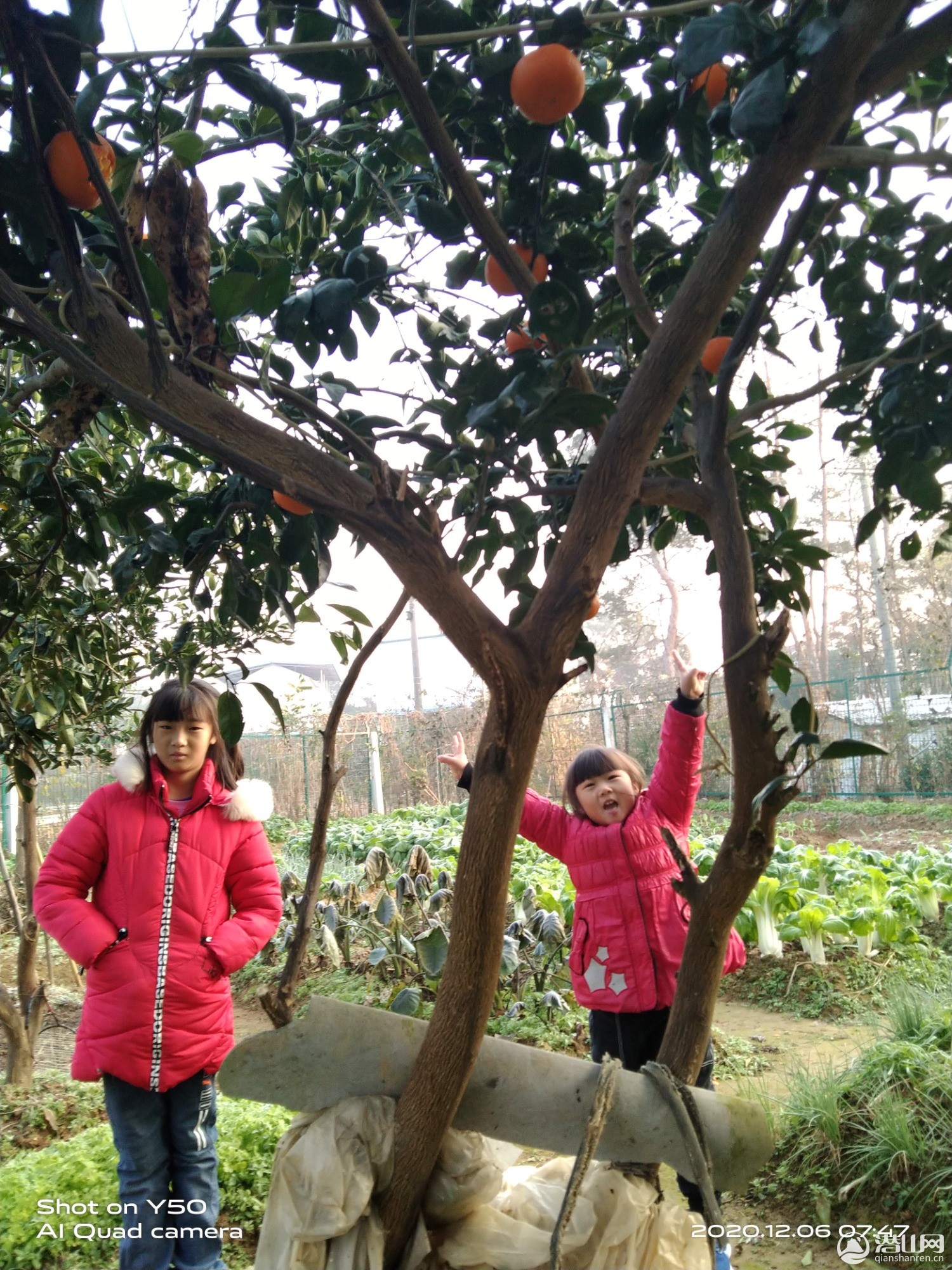 IMG_20201206_074756.jpg