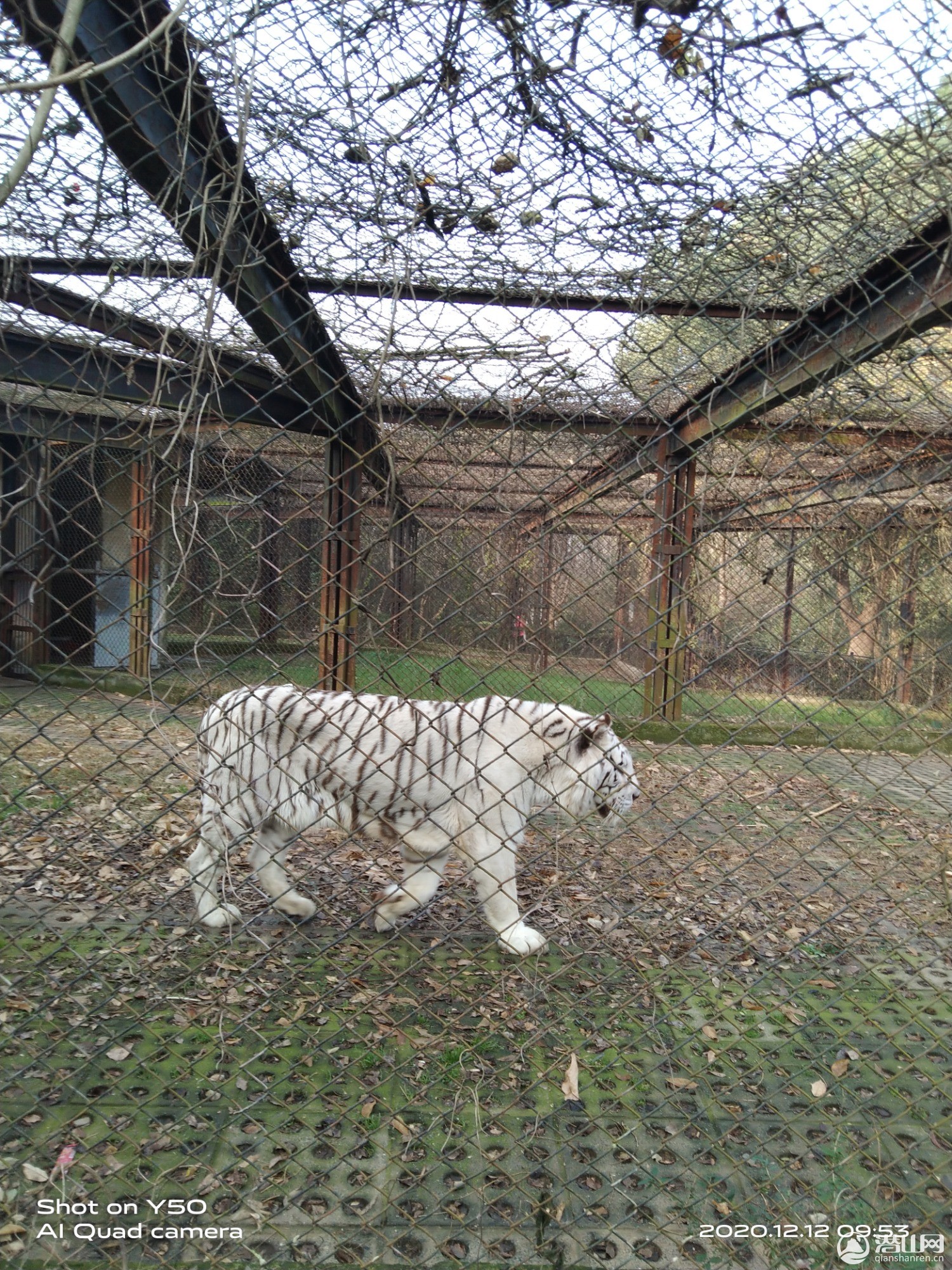 IMG_20201212_095400.jpg
