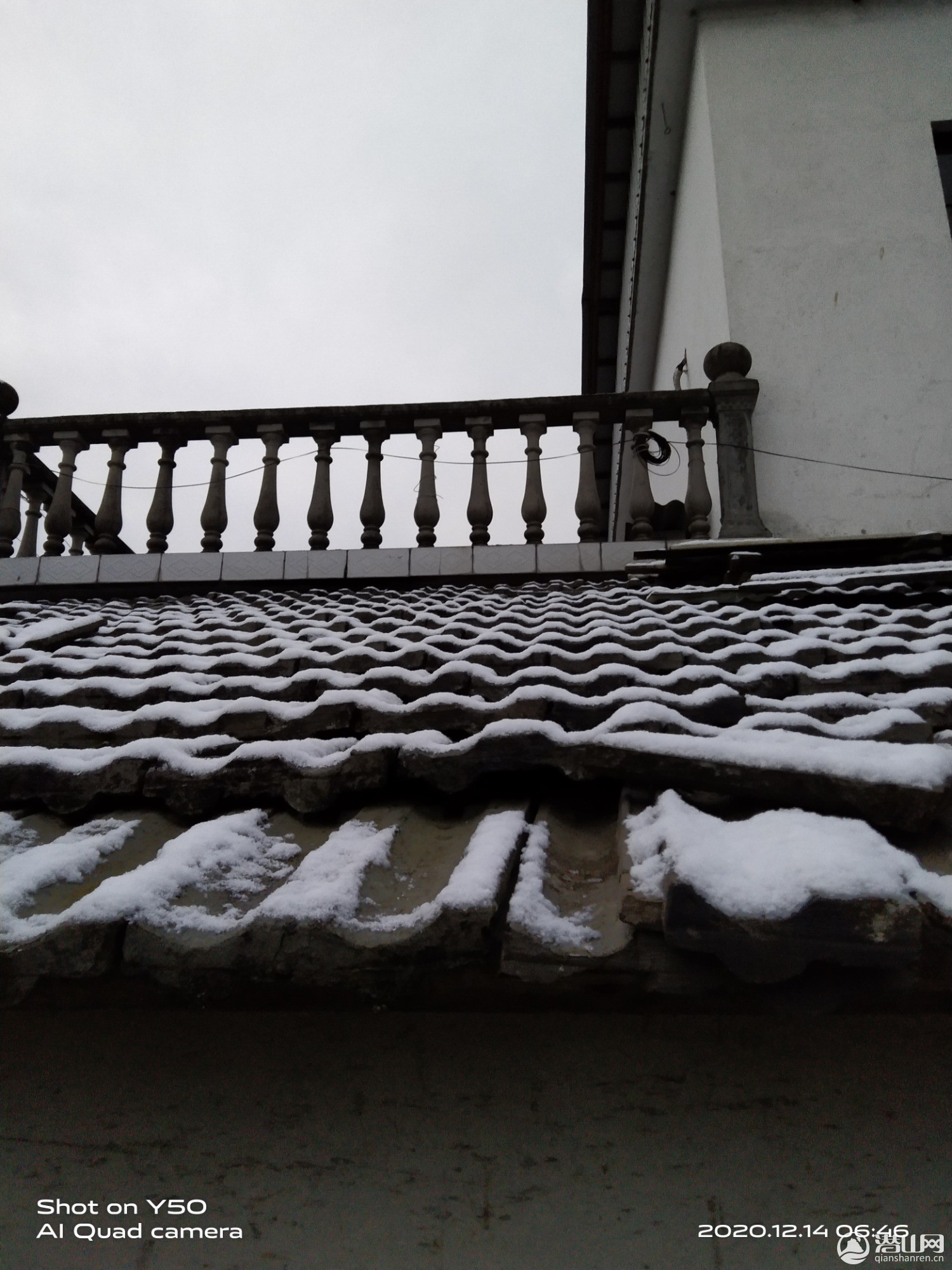 IMG_20201214_064637.jpg