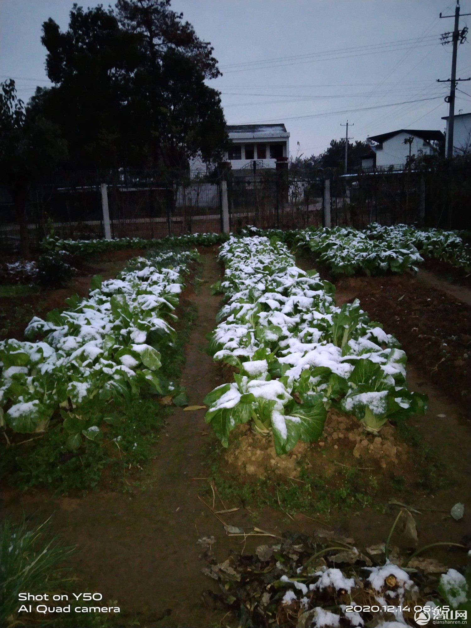 IMG_20201214_064510.jpg