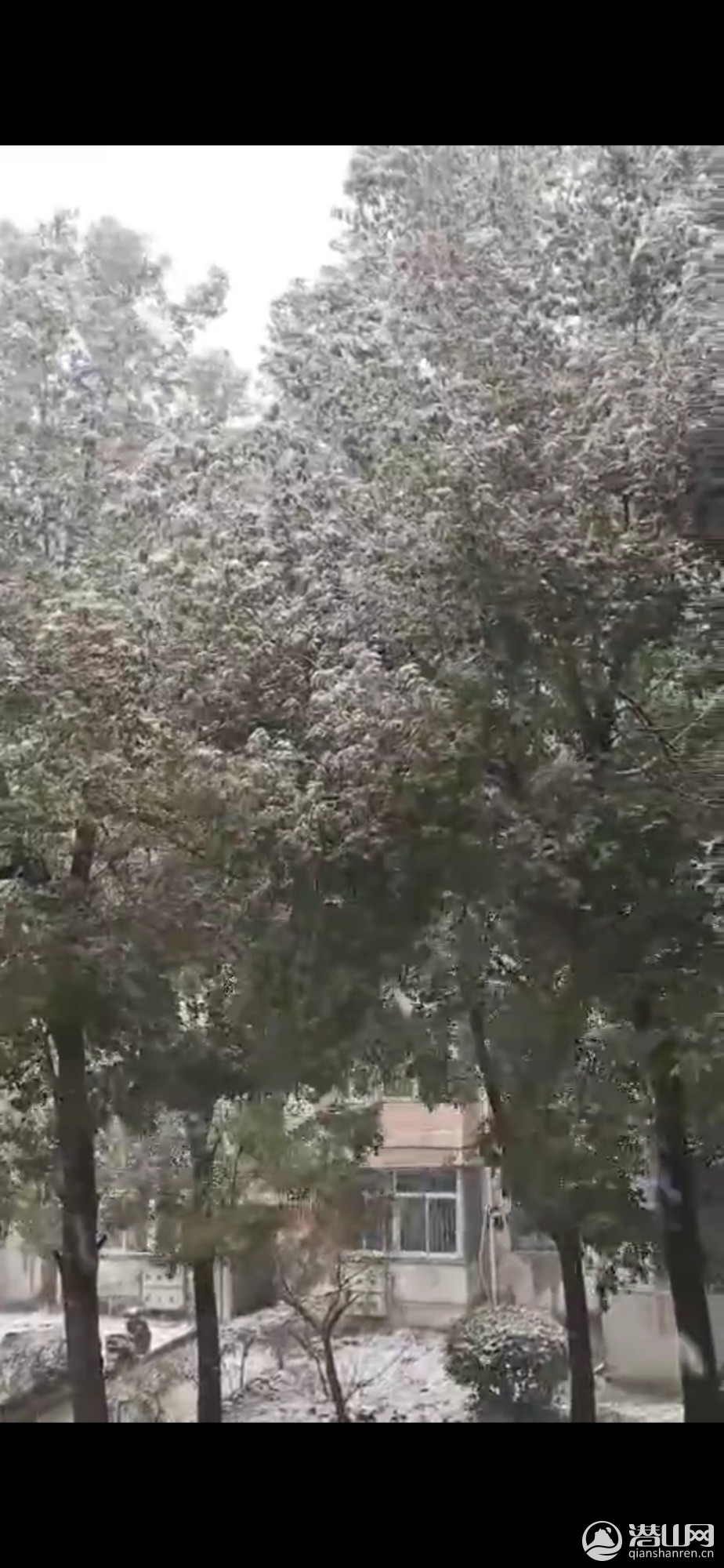 Screenshot_20201229_192232.jpg