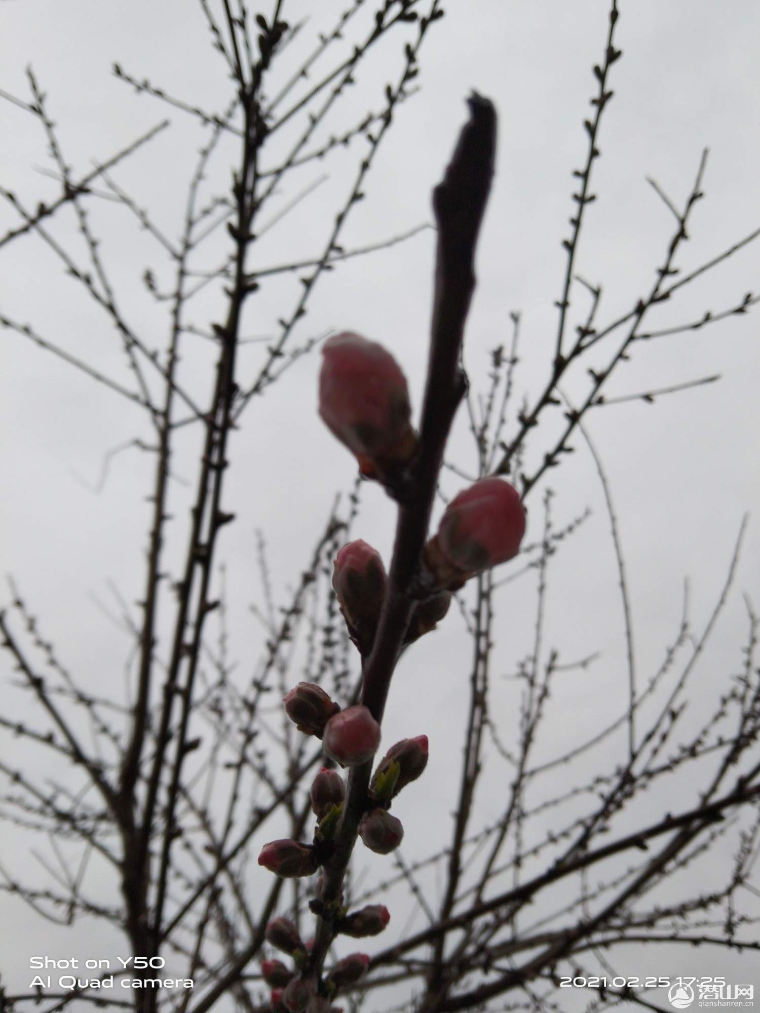 IMG_20210225_172535.jpg