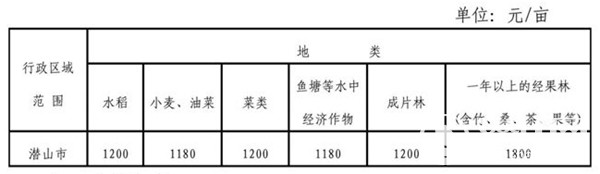 1615781618939834.jpg