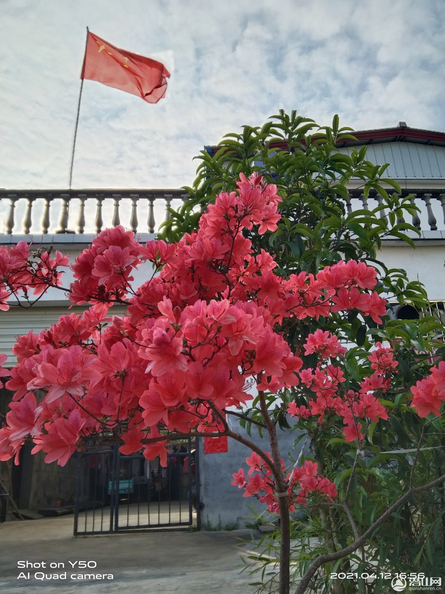 IMG_20210412_170201.jpg