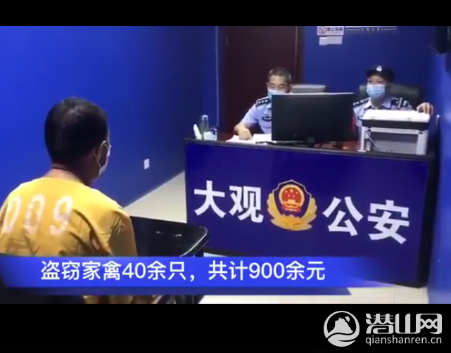 4494e55c959aeeecc5748945388cd2dc.png