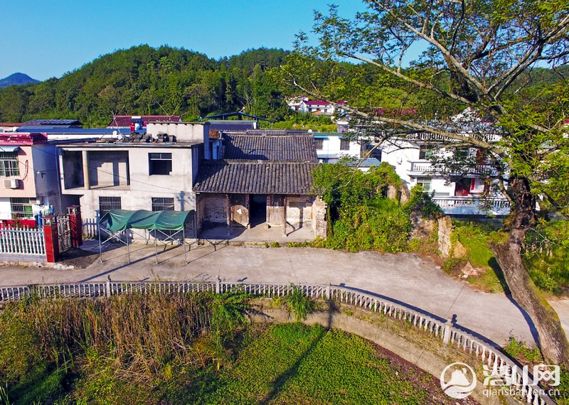 DJI_0007.jpg