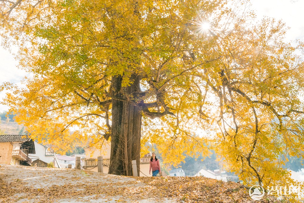 Ǳɽǧ ̱2019.jpg