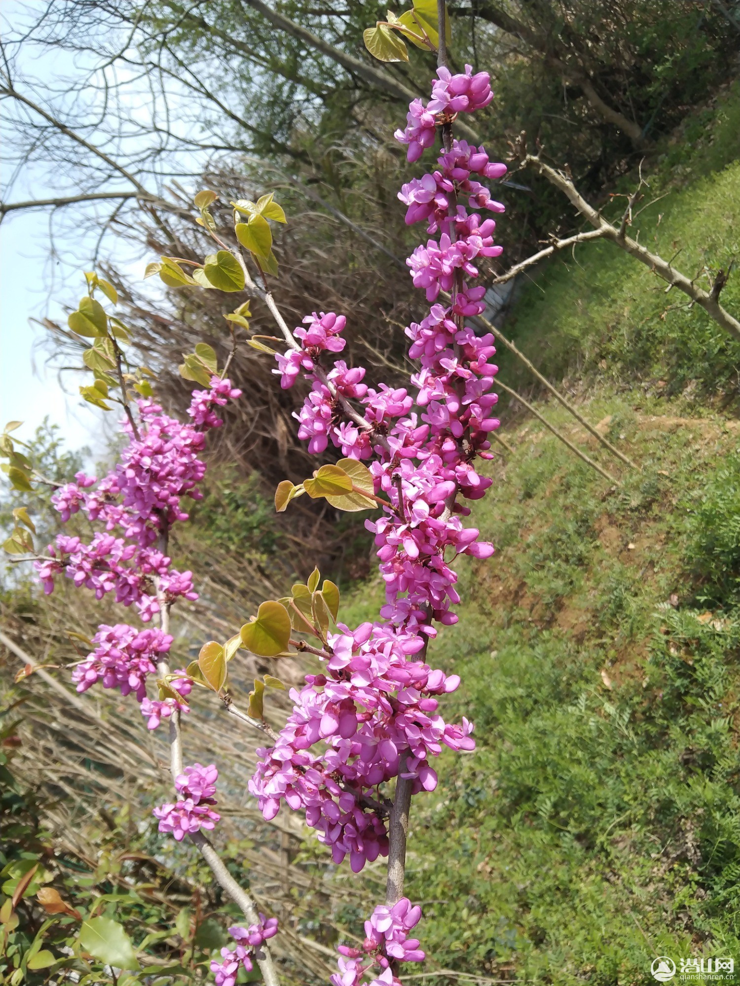 IMG_20230326_200326.jpg